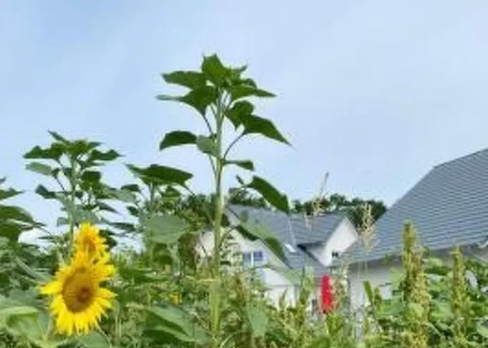 Seenixe By Interhome *